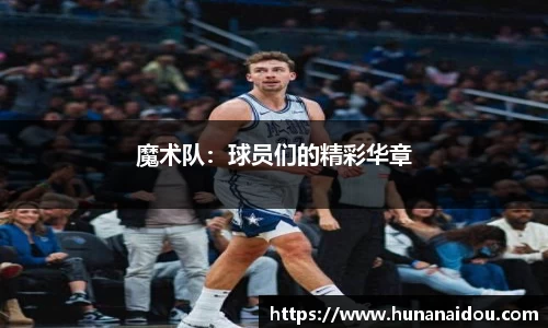 zoty中欧官方网站